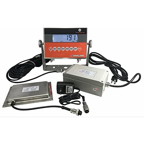 SL-4x4-Explosion Proof (Legal) Industrial 48" x 48" intrinsically Safe NTEP Floor Scale for Warehouse or Shipping Weighing (5000 lbs x 1 lb)
