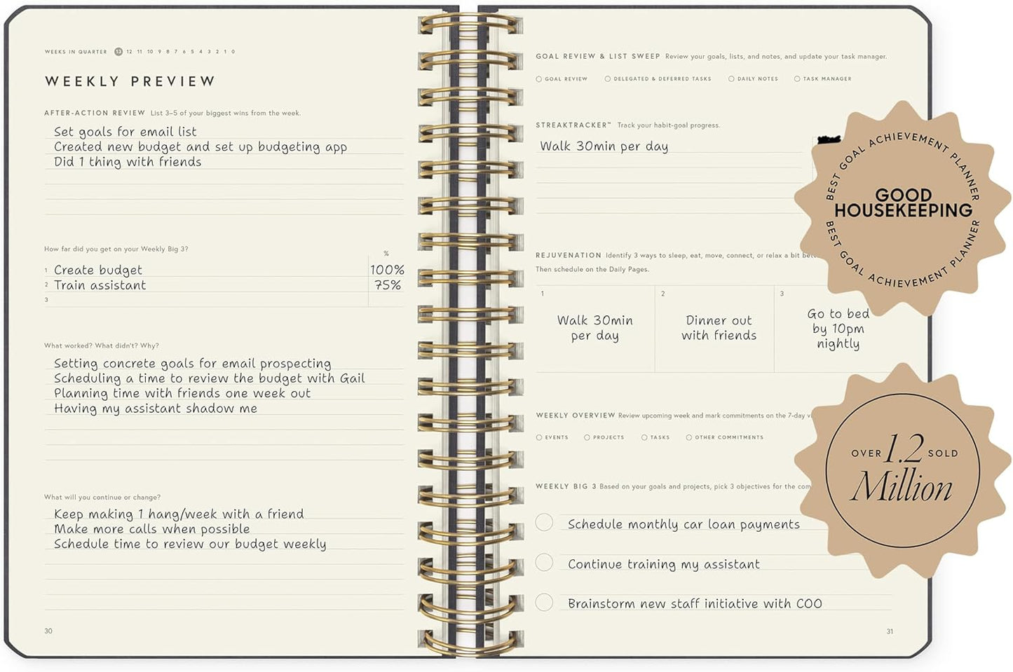 Full Focus Leather Coil Planner by Michael Hyatt - The #1 Daily Planner to Set Annual Goals, Increase Focus, Eliminate Overwhelm, and Achieve Your Biggest Goals - Hardcover (Gray)