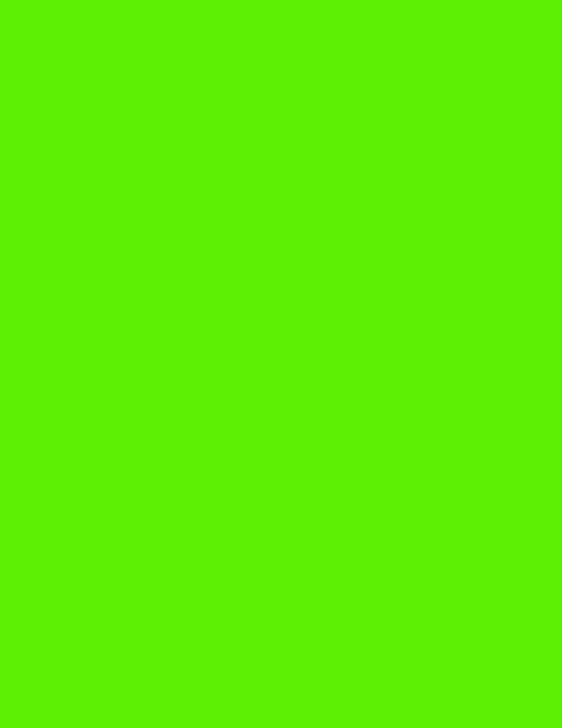NextDayLabels - 8-1/2 x 11 Neon Color High Light Fluorescent Labels for Laser & Inkjet Printer (Green Fluorescent, 8.5" x 11" - 1 Per Page | 25 Labels)