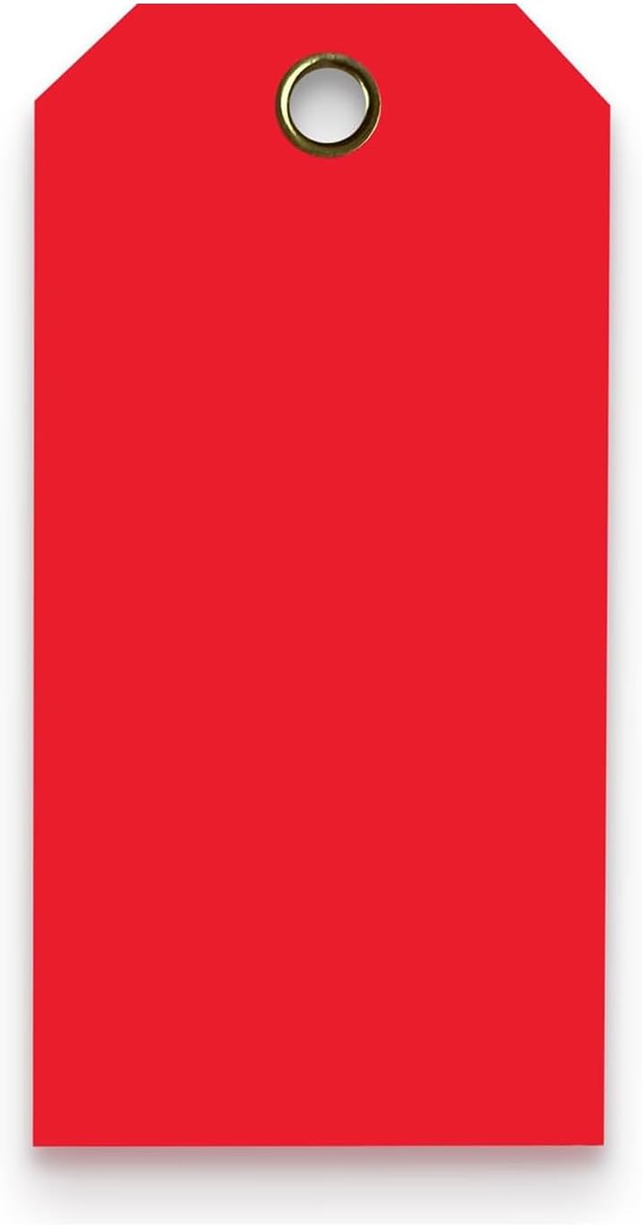 Tags 4 Less 15 Mil Waterproof Plastic Tags, Pack of 100 – 4” x 8” Heavy Duty Plastic Tags for Labeling, Outdoor Tagging, Equipment Labeling, Luggage, Valves & More (Red)