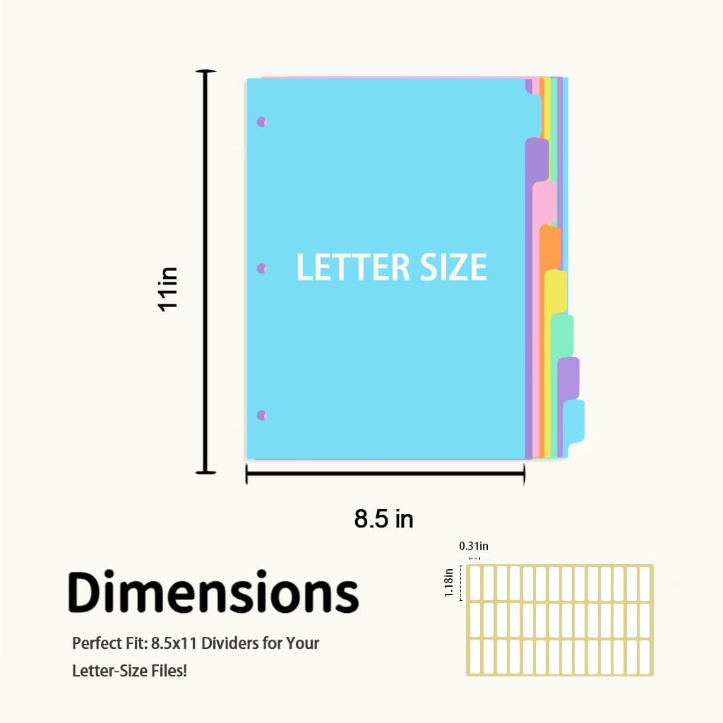 8-tabs 6 Set Binder Dividers with Tabs,Plastic Index with Label,Colorful Dividers for 3 Ring Binder (48)
