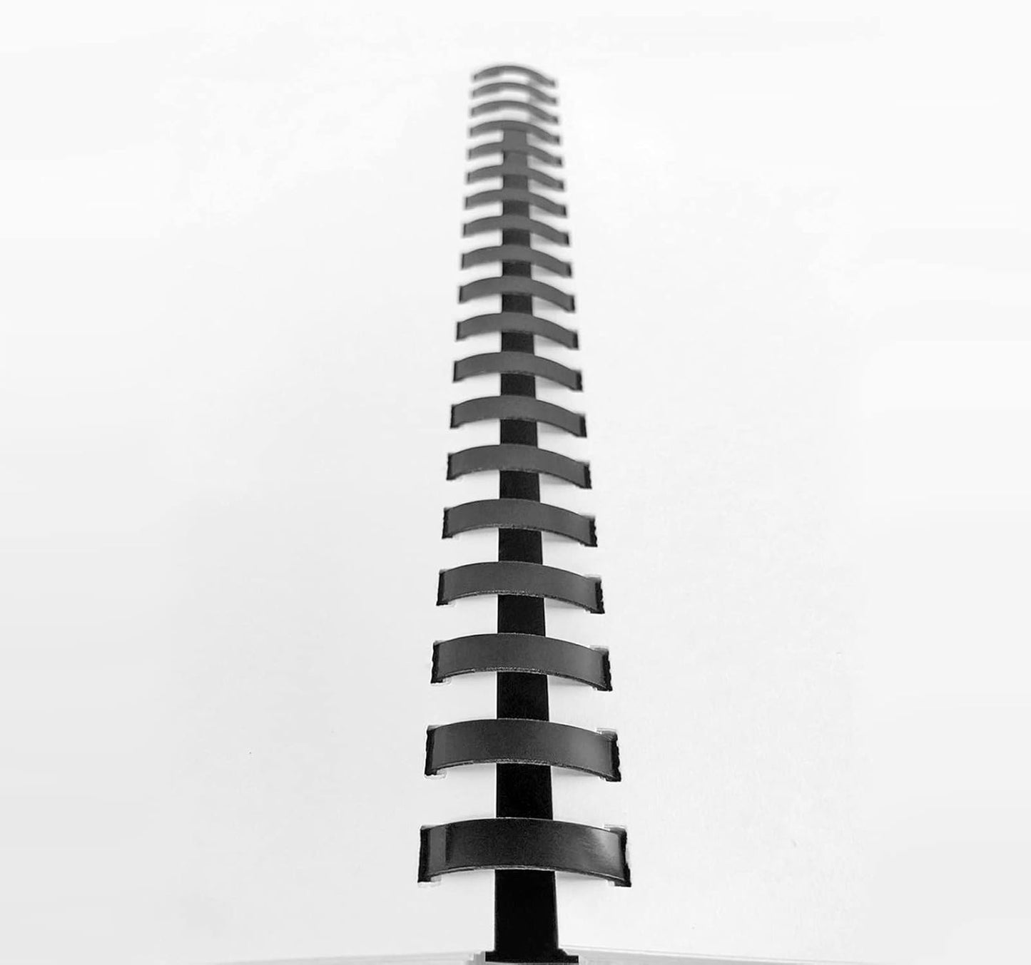 TOTiyea 50 Pack 19 Ring Plastic Binding Combs, 1-1/2 Inch Diameter, 320 Sheet Capacity, Letter Size, Black Comb Binding Spines