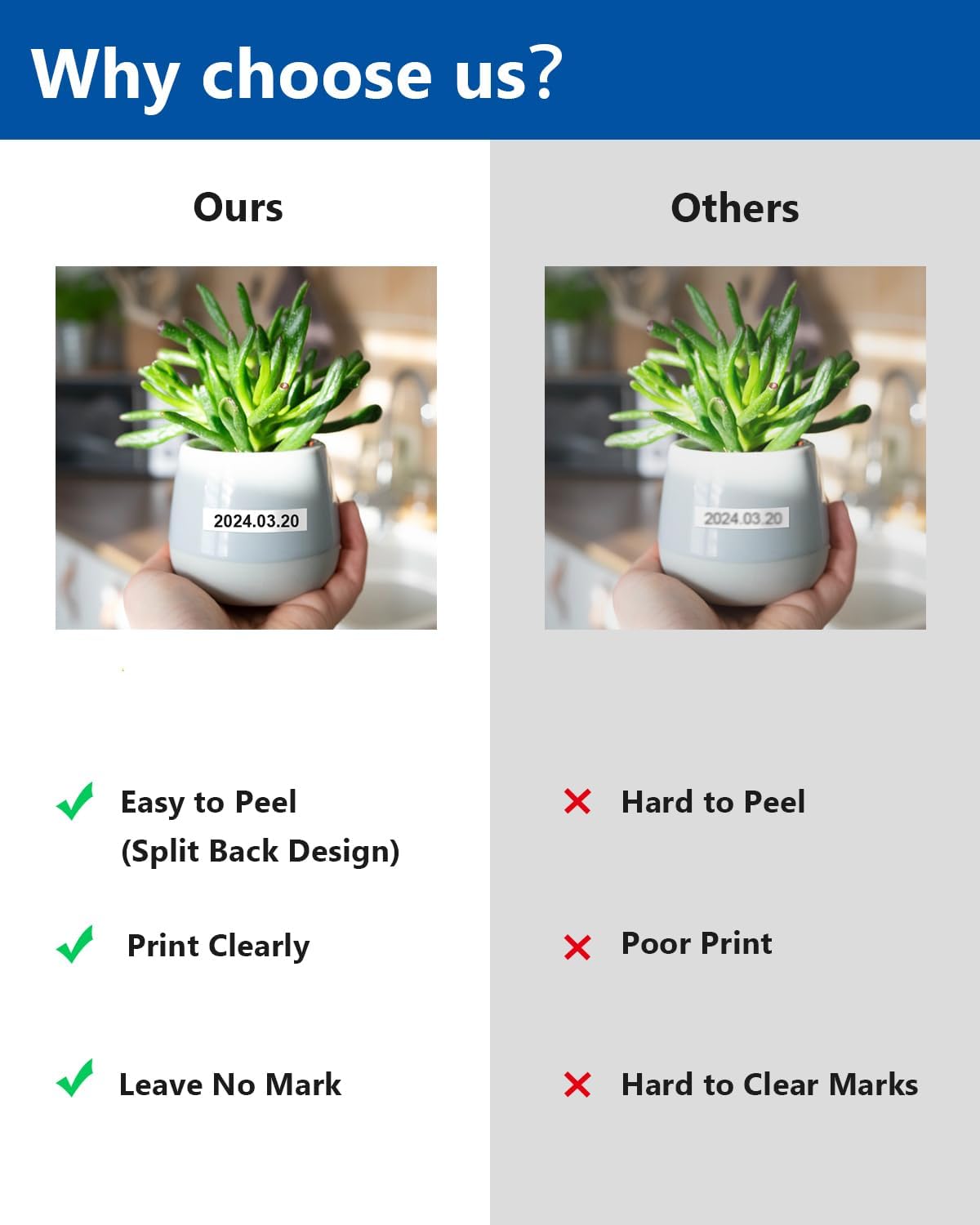 6-Pack TZe 24mm 0.94" Laminated Compatible for P Touch 1 Inch TZ Label Tape TZe-151 251 451 551 651 751 for Ptouch PT-D600 P700D 410 D610BT P710BT, Clear/White/Red/Blue/Yellow/Green