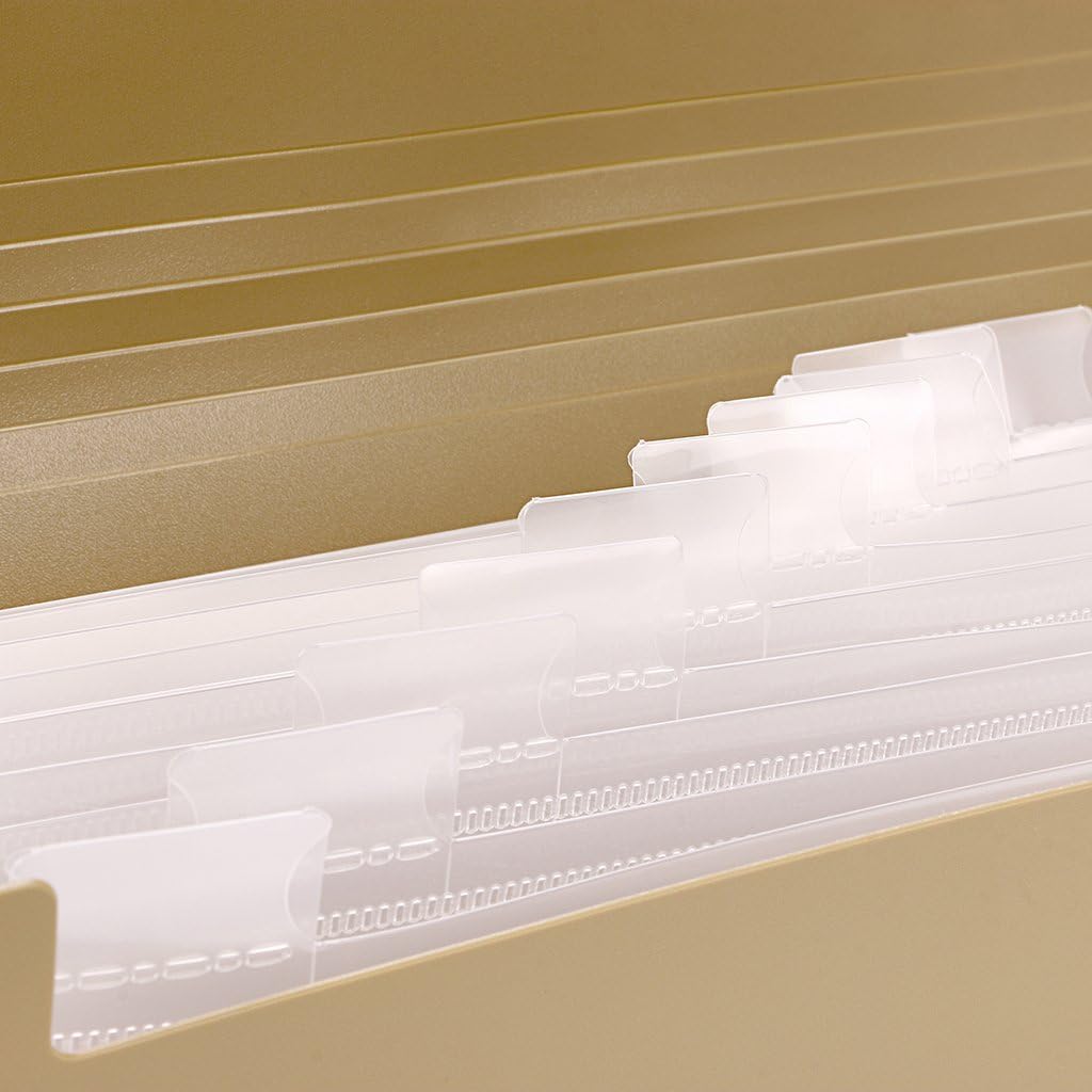 BTSKY Expanding File Folder - 13 Pockets Small Accordion Card and Ticket Holder, Document Organizer Wallet Case for Business, Check, Bill Storage, Khaki