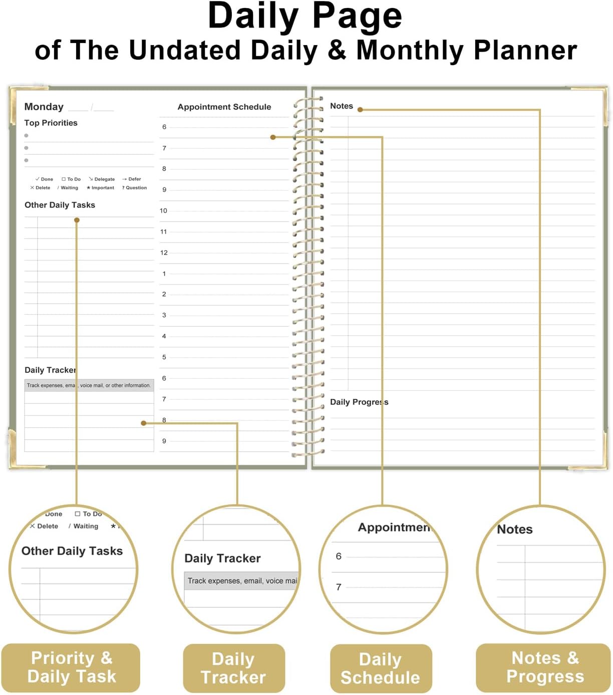Undated Daily Monthly Planner for 2025 2026 - A4 To Do List with Hourly Schedule, Hardcover Spiral Bound Daily Planner to Increase Focus, Stylish School/Office Supplies, 8.5" x 11", Green