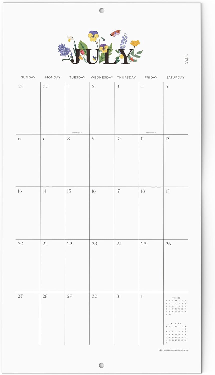 Cabbrix Calendar 2025-2026, Large Wall Calendar 2025-2026 from June 2025 to December 2026, 21-1/2" x 11-1/2",Large Print Big Grid 18 Monthly Calendar Perfect for Organizing & Planning
