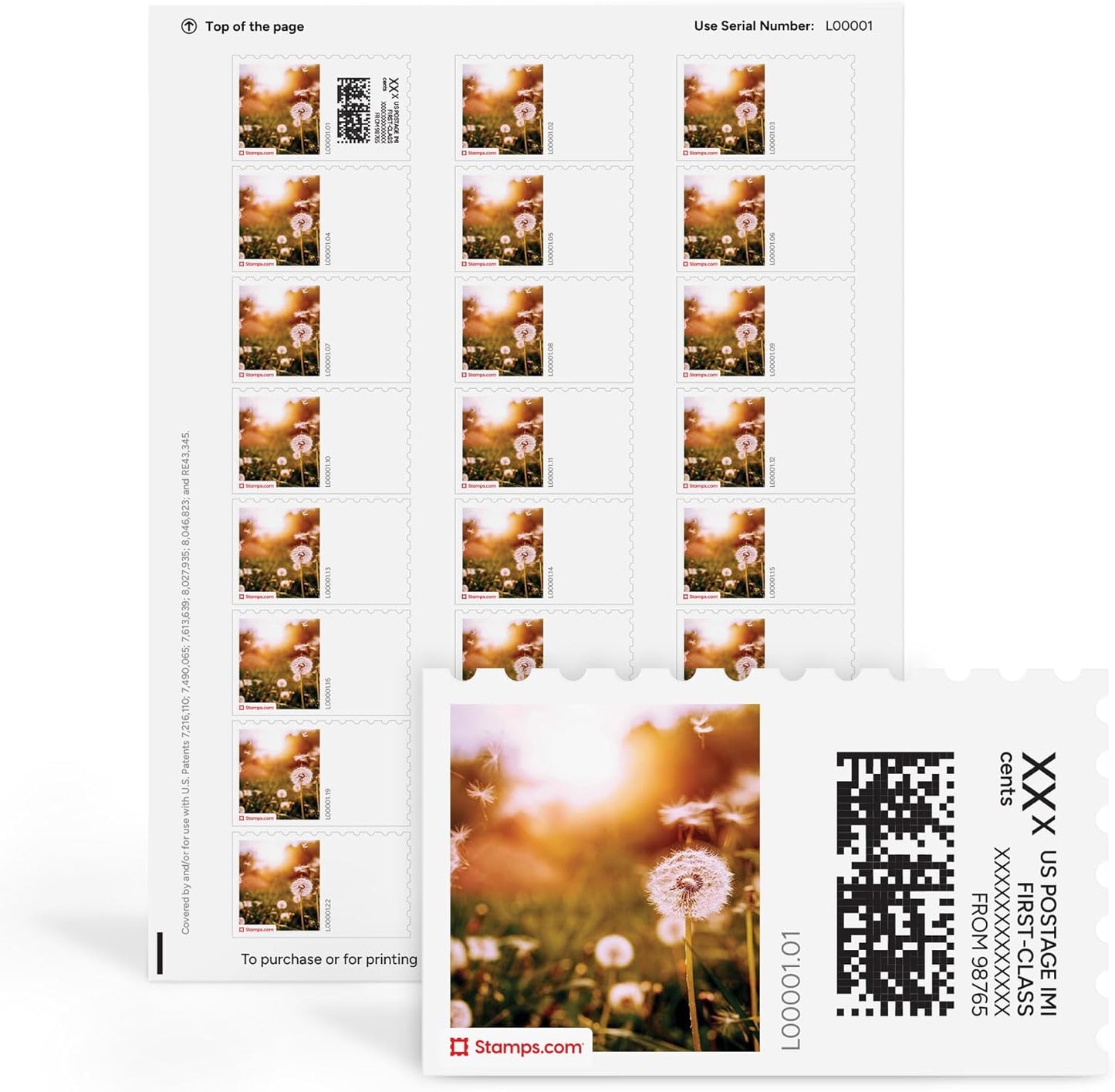 Dandelion Wishes NetStamps 120-Pack (5 Sheets) Printable Postage Labels (Stamps.com Subscription Required) - Print Approved Postage - Inkjet & Laser Printers - Business, Personal, Home