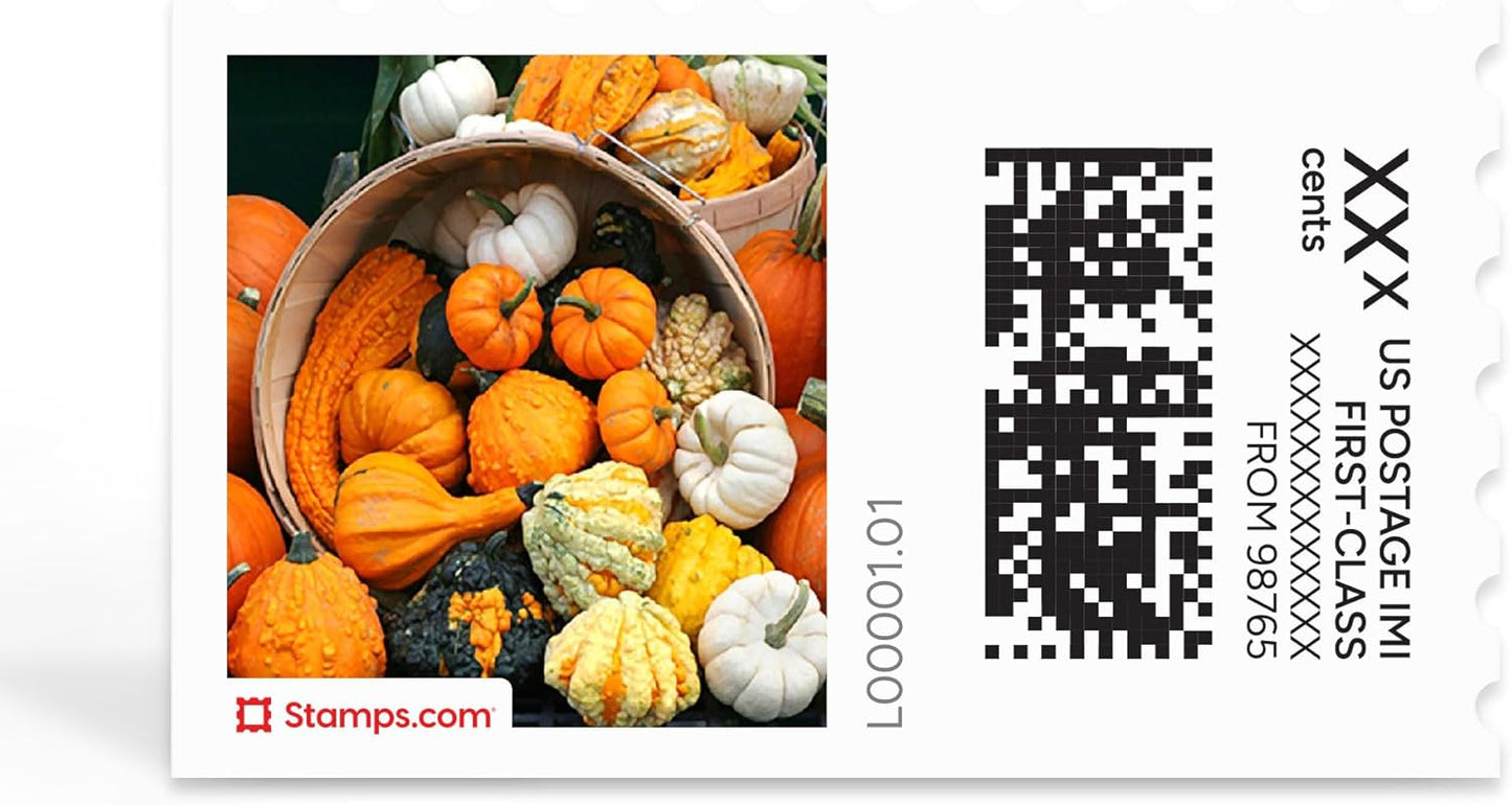 Pumpkins Galore NetStamps 120-Pack (5 Sheets) Printable Postage Labels (Stamps.com Subscription Required) - Print Approved Postage - Inkjet & Laser Printers - Business, Personal, Home
