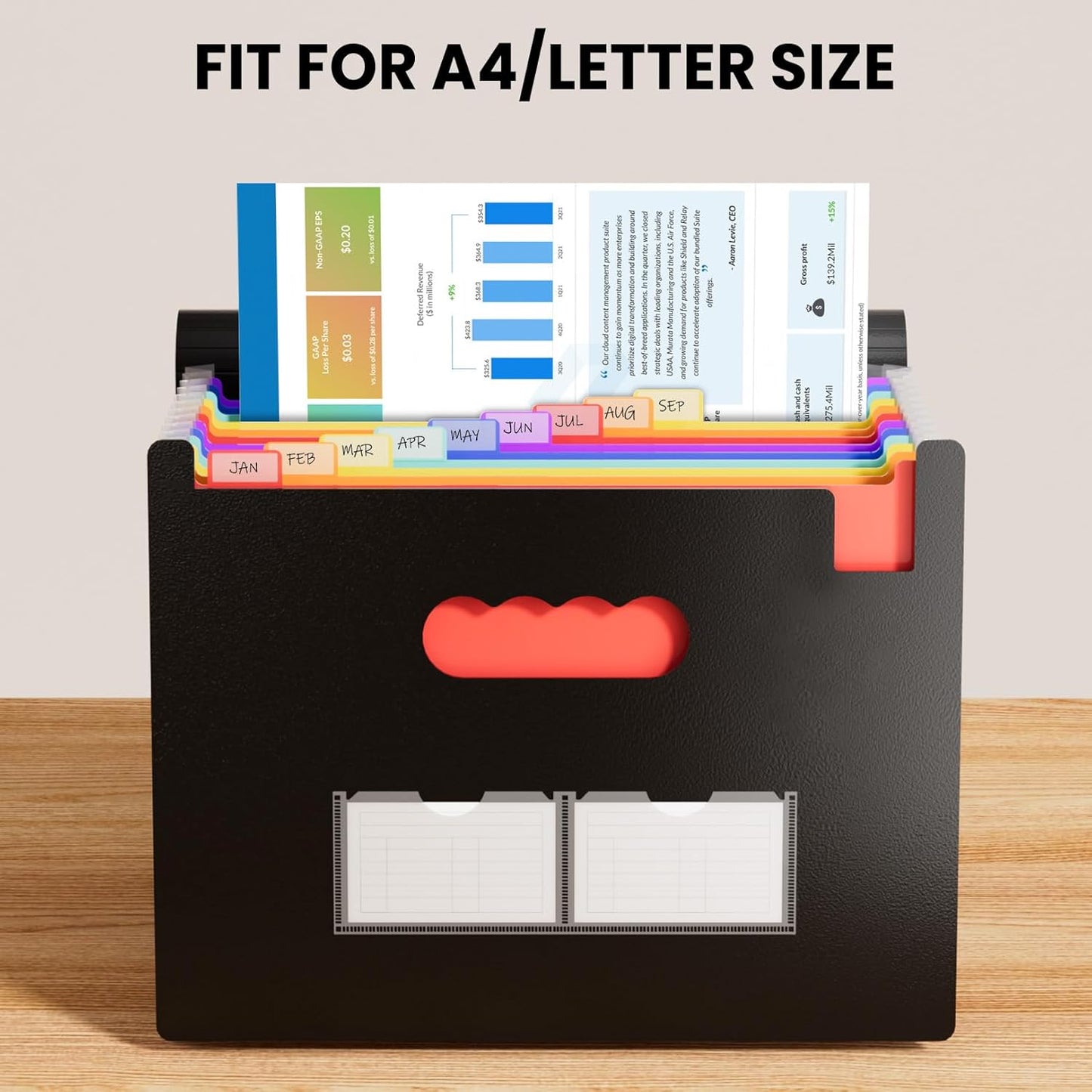 Sooez Accordion File Organizer, 13 Pockets Expanding File Folder, Portable Monthly Paper Bill Tax Receipt Organizer, Letter A4 Size Document Holder with Blank Labels, Black
