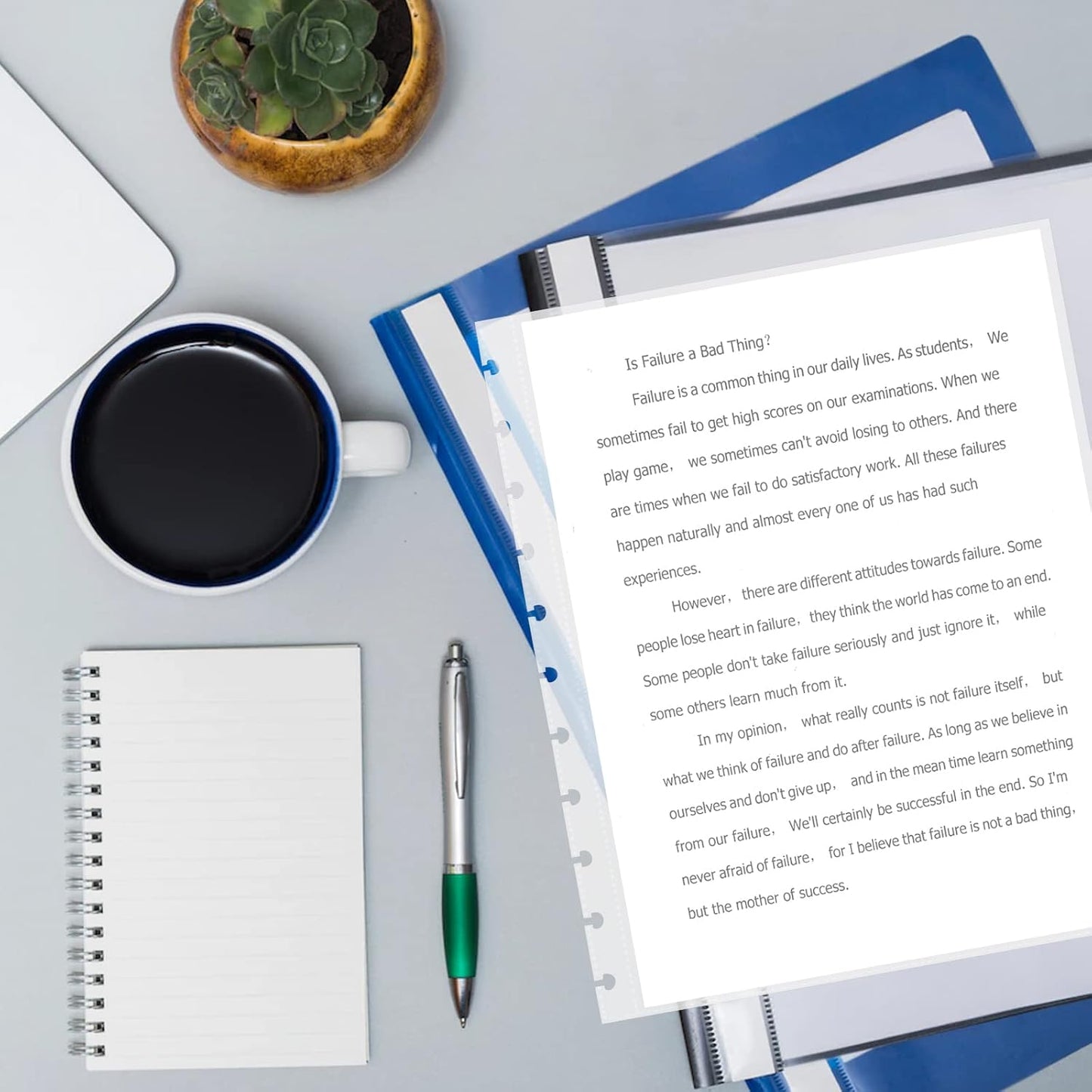 25 Piece Letter Size Sheet Protectors Clear Plastic Page Protectors for Discbound Holds Letter Size Discbound Binding Cover (25)