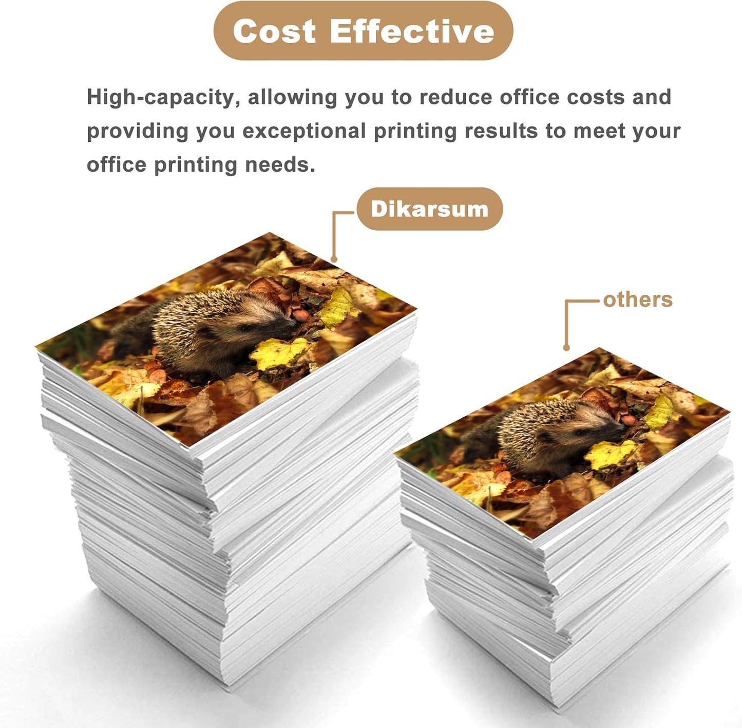 T850 Ink Cartridge Remanufactured T8505 T850500 Ink Cartridge Replacement for Surecolor P800 Printer(Light Cyan)