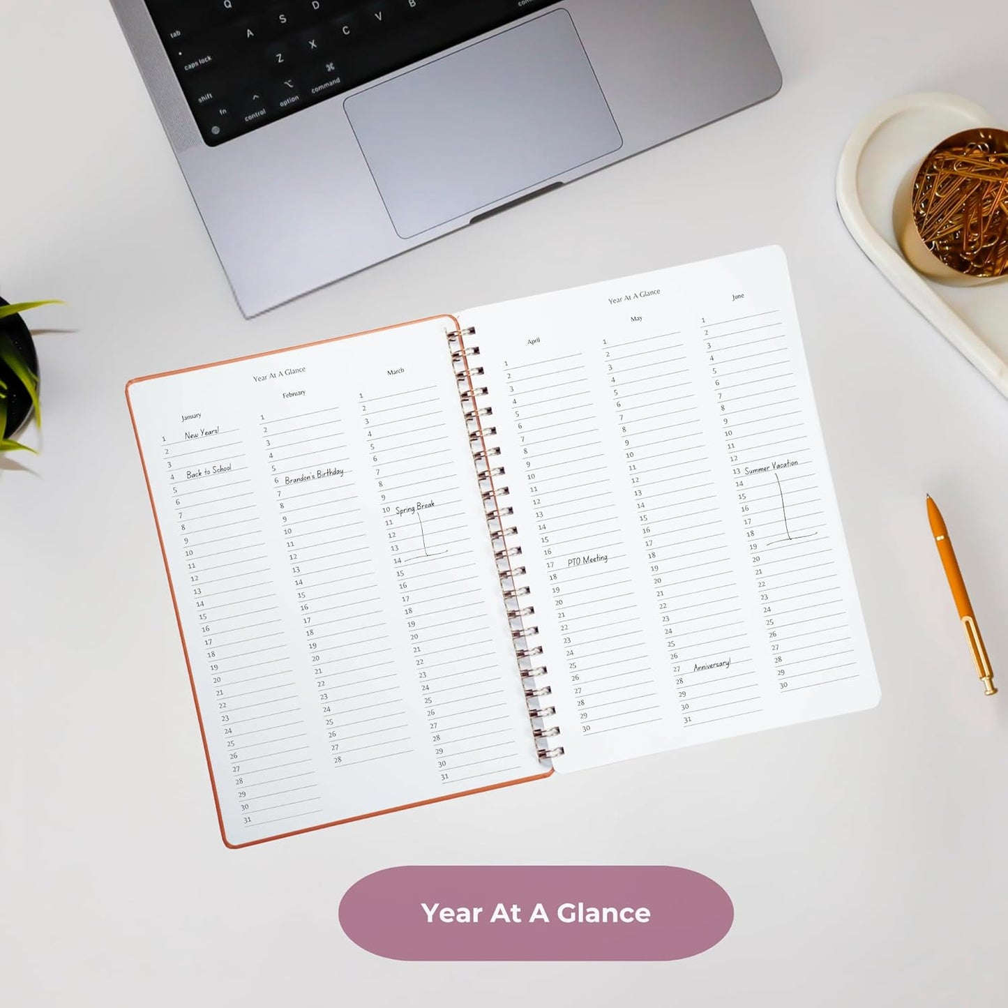 | Ultimate Yearly, Daily, Weekly, Monthly Planner | 8.25" x 11.75" | To Do List Notebook for Work | Simple Design | Multiple Layouts | Academic Planner and Organizer Notebook (Pink, Yearly Planner - Portrait)