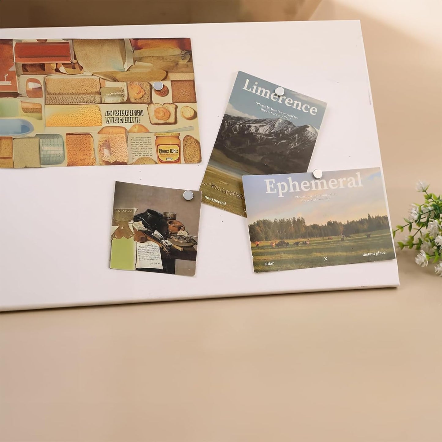 Silver Thumb Tacks, Multipurpose Upholstery Nails, Decorative Nail Heads, and Wall Tacks for Secure Fixing & DIY Projects, 100Pcs