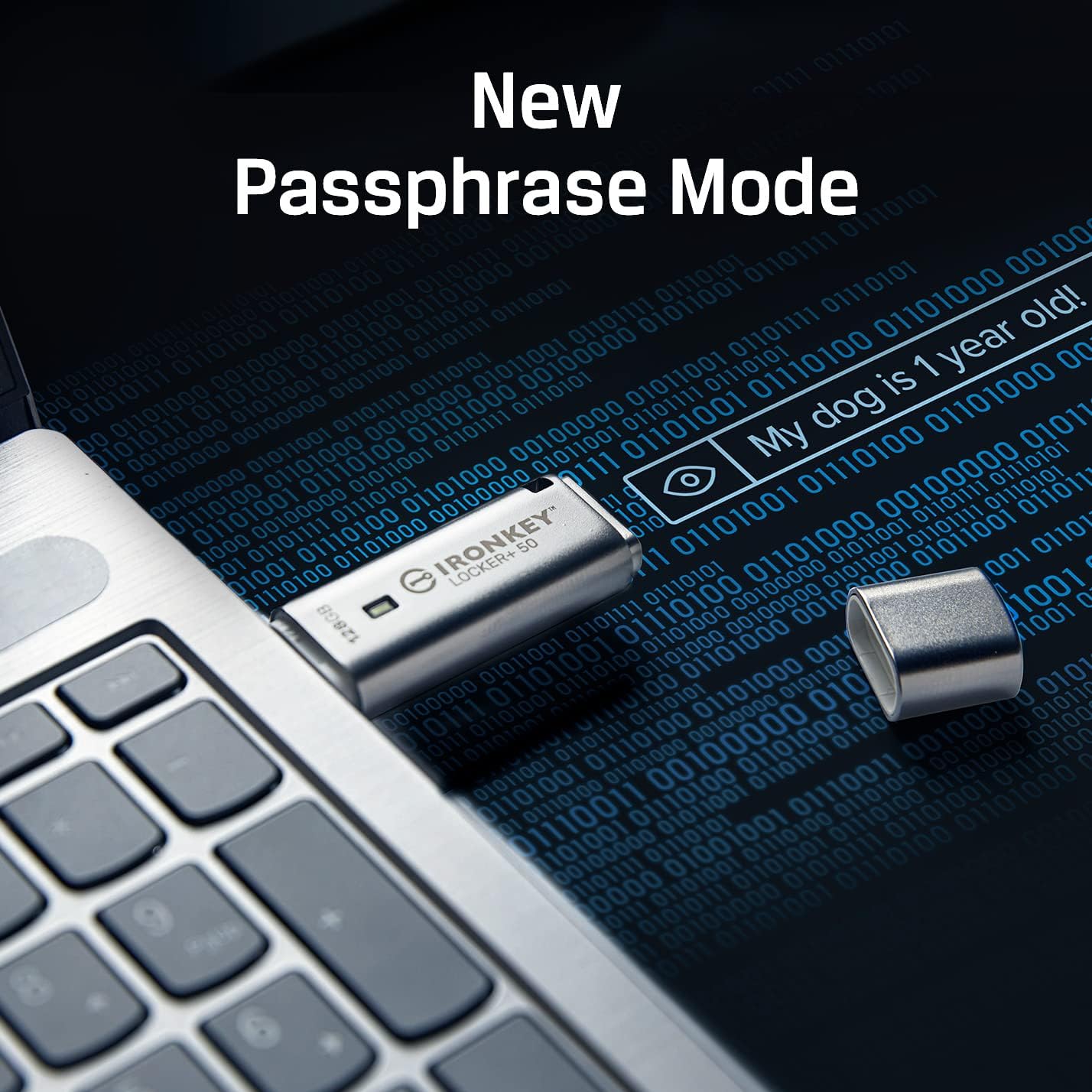 Kingston Ironkey Locker+ 50 256GB Encrypted USB Flash Drive | USB 3.2 Gen 1 | XTS-AES Protection & TAA Compliant | Multi-Password Security Options | IKLP50/256GB