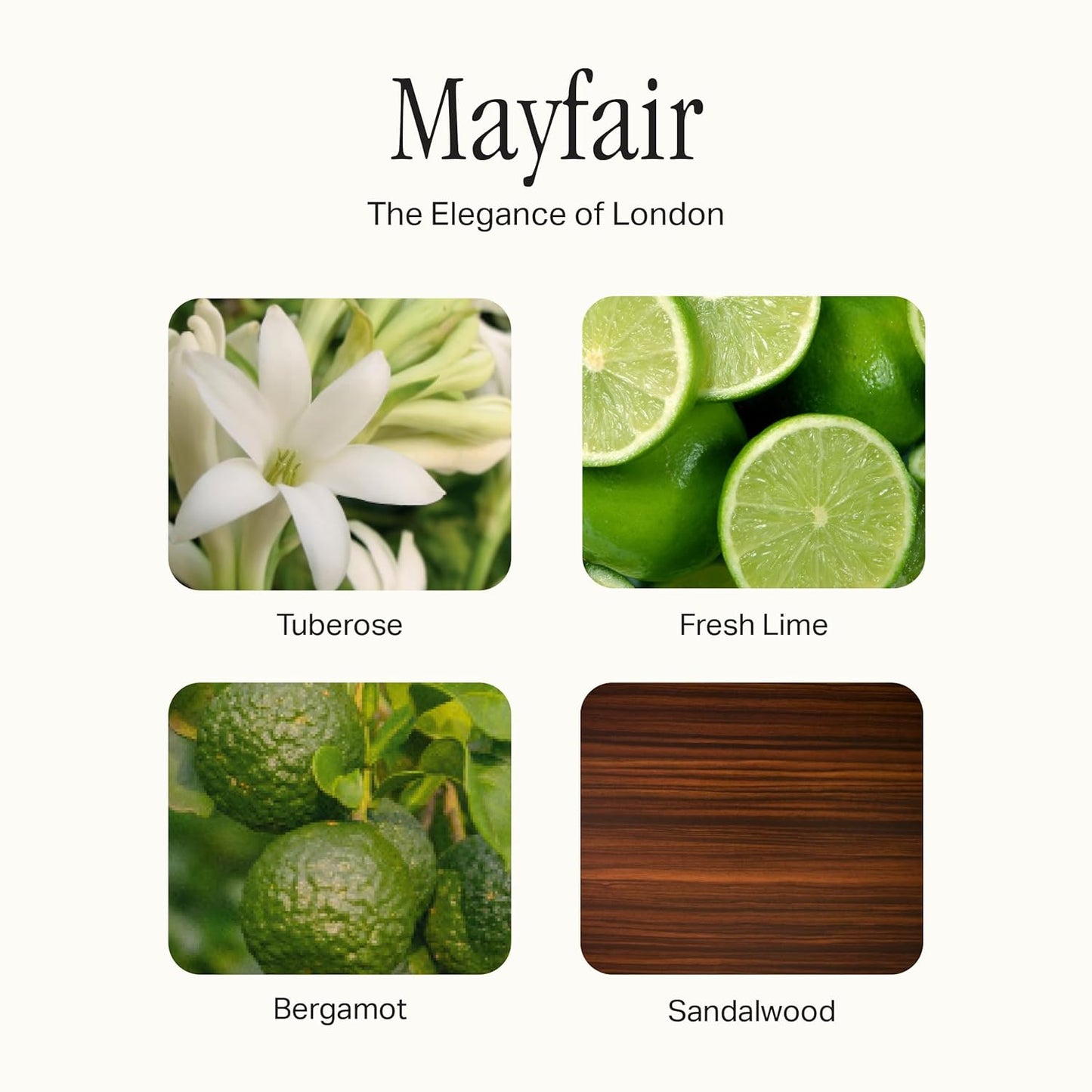 The All Purpose Cleaner Multi Surface Spray, Lifts Away Dirt, Smudges & Grease