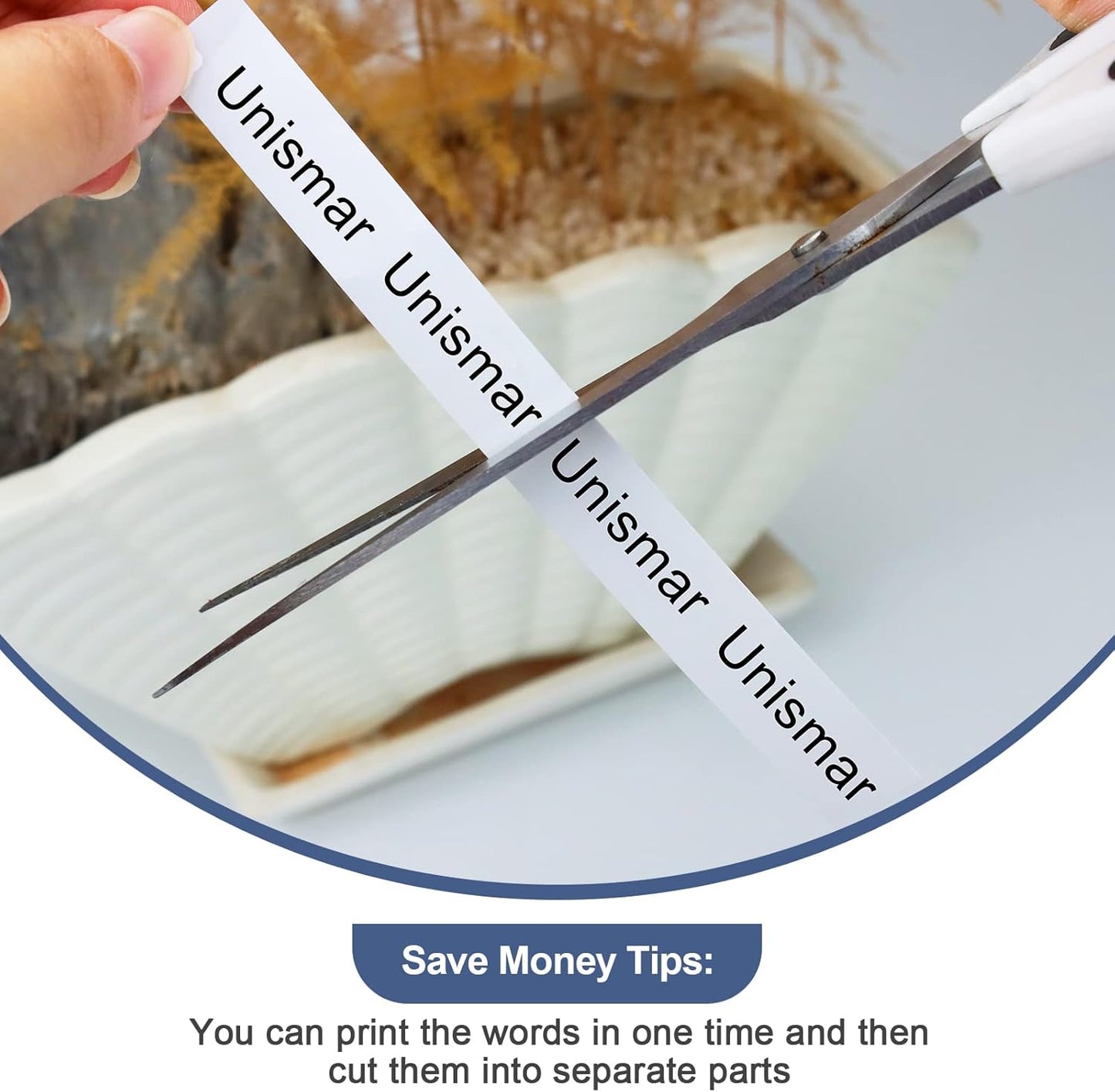 10-Pack TZe-231 Compatible for Brother TZe 12mm 0.47 Inch Laminated White Label Tape Work with Ptouch PTD200 PTD202 PTD210 PTD600 PTD400 PTH100 PTH110 PT1280 Label Maker, Black on White, 26.2Ft (8m)