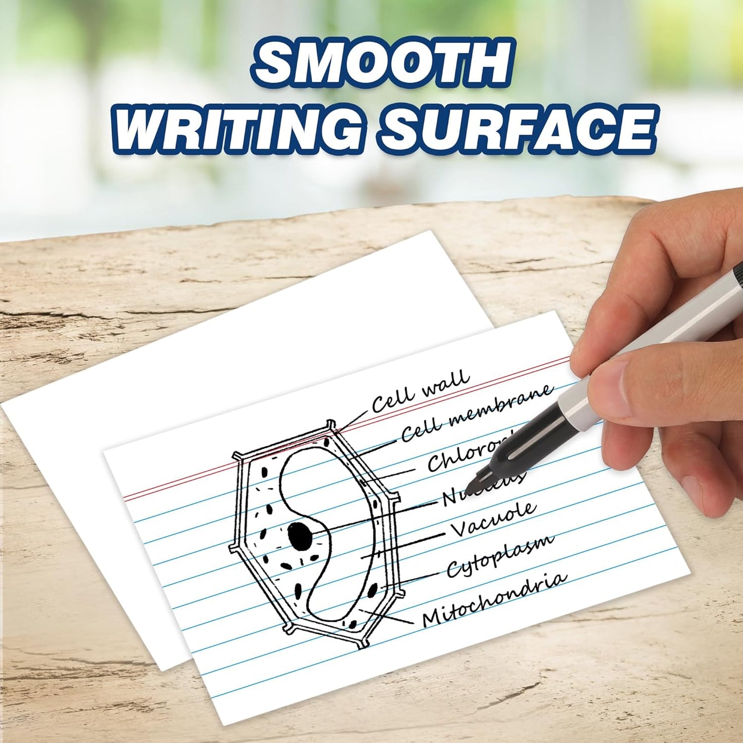 Chell Extra Heavyweight Ruled Index Cards 3x5 Inch, No Bleed-Through, 100 Count, Ruled Front and Blank Back, 85 lb. Cover Weight, White