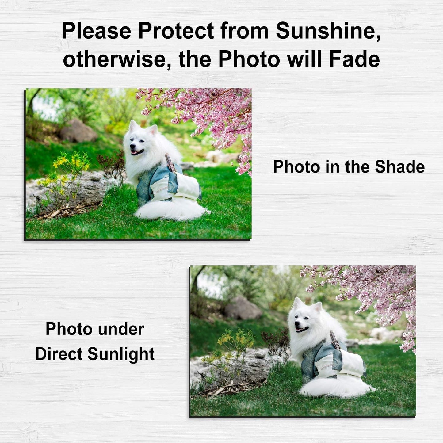 Stone City Printable Magnetic Sheets Make Refrigerator Photo Magnet Glossy Print Paper 12mil Thickness for Inkjet Printers 8.5x 11 Inches 12 Sheets