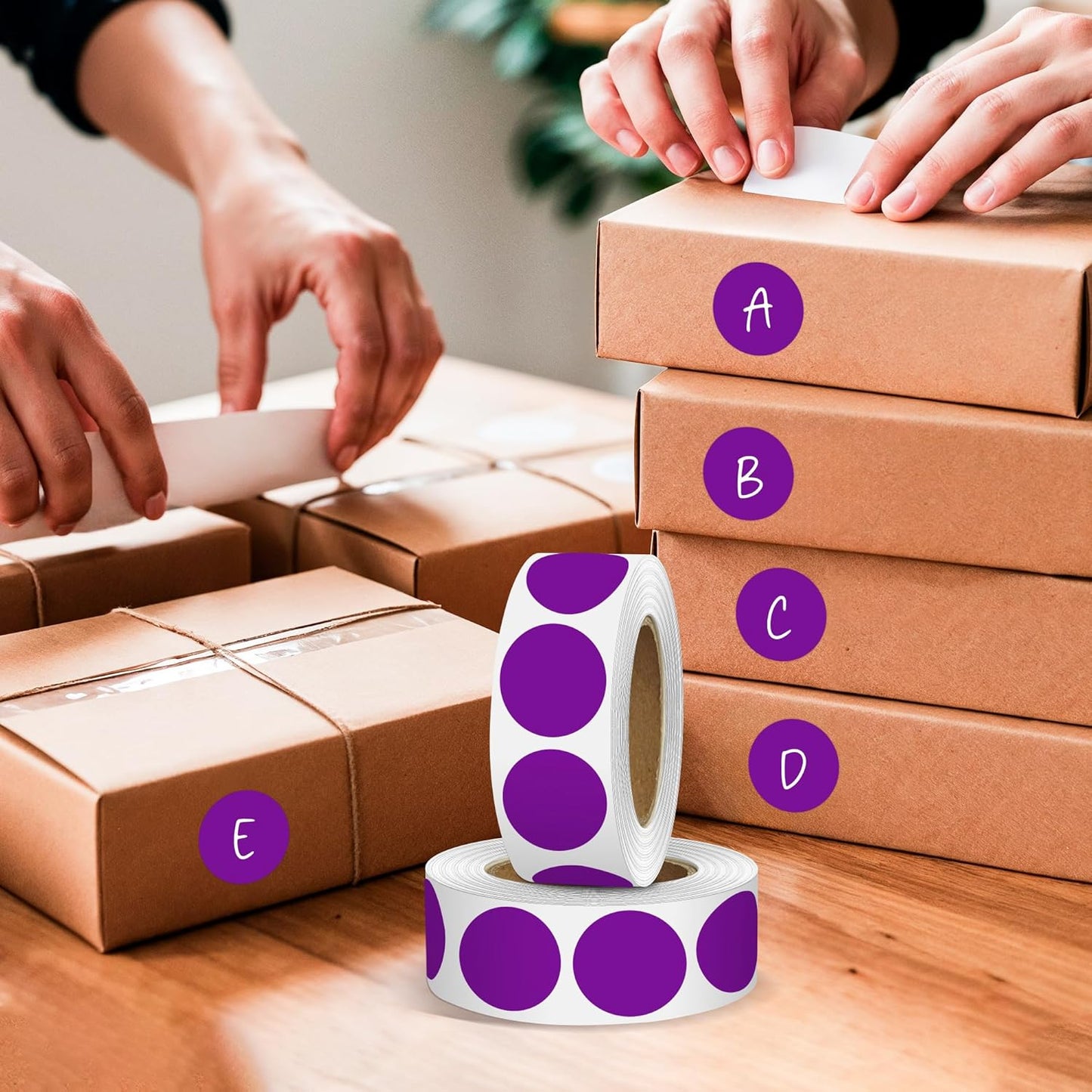 Purple 1 Inch Round Color Coding Dot Labels, 10 Rolls 10000 Dot Stickers in Dispenser Box - Permanent Adhesion, Vibrant Colors, Highly Visible