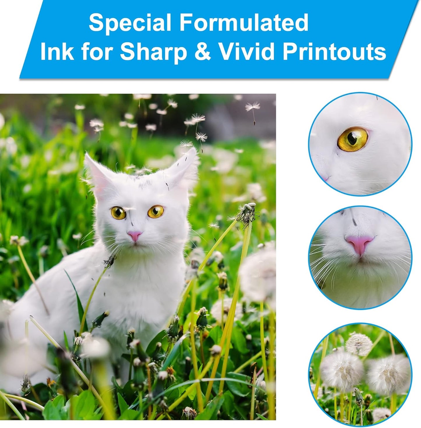 LCL Compatible Ink Refill Bottles Replacement for 542 T542 Ink High Capacity Compatible with Ecotank ET-5150 ET-5170 ET-5180 ET-5850 ET-5800 ET-5880 ET-16600 ET-16650 ST-C8000 ST-C8090 Printers (KCMY)