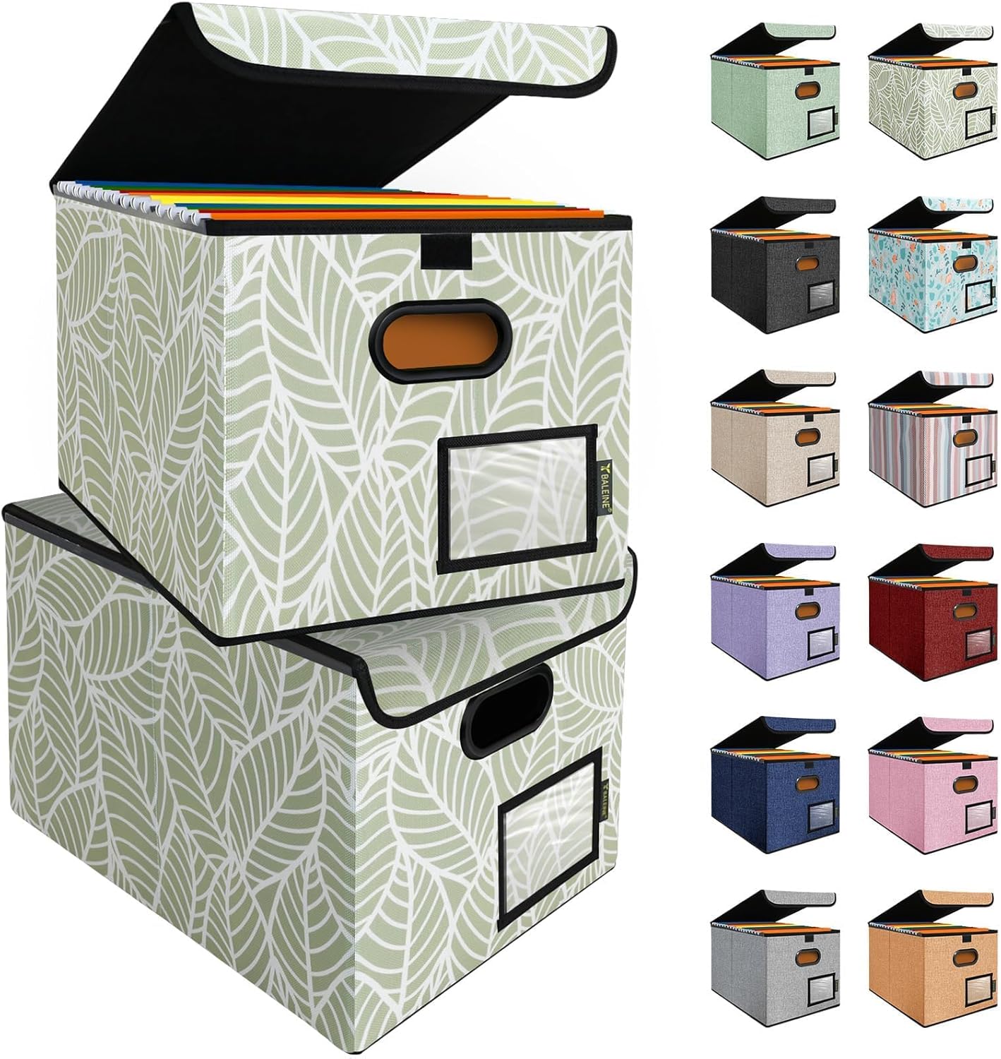 BALEINE File Organizer Box with Lid, Collapsible File Folder Organizer with Plastic Slide, Hanging File Folder Box for Office Document Storage (2 Pack, Antique Foliage)