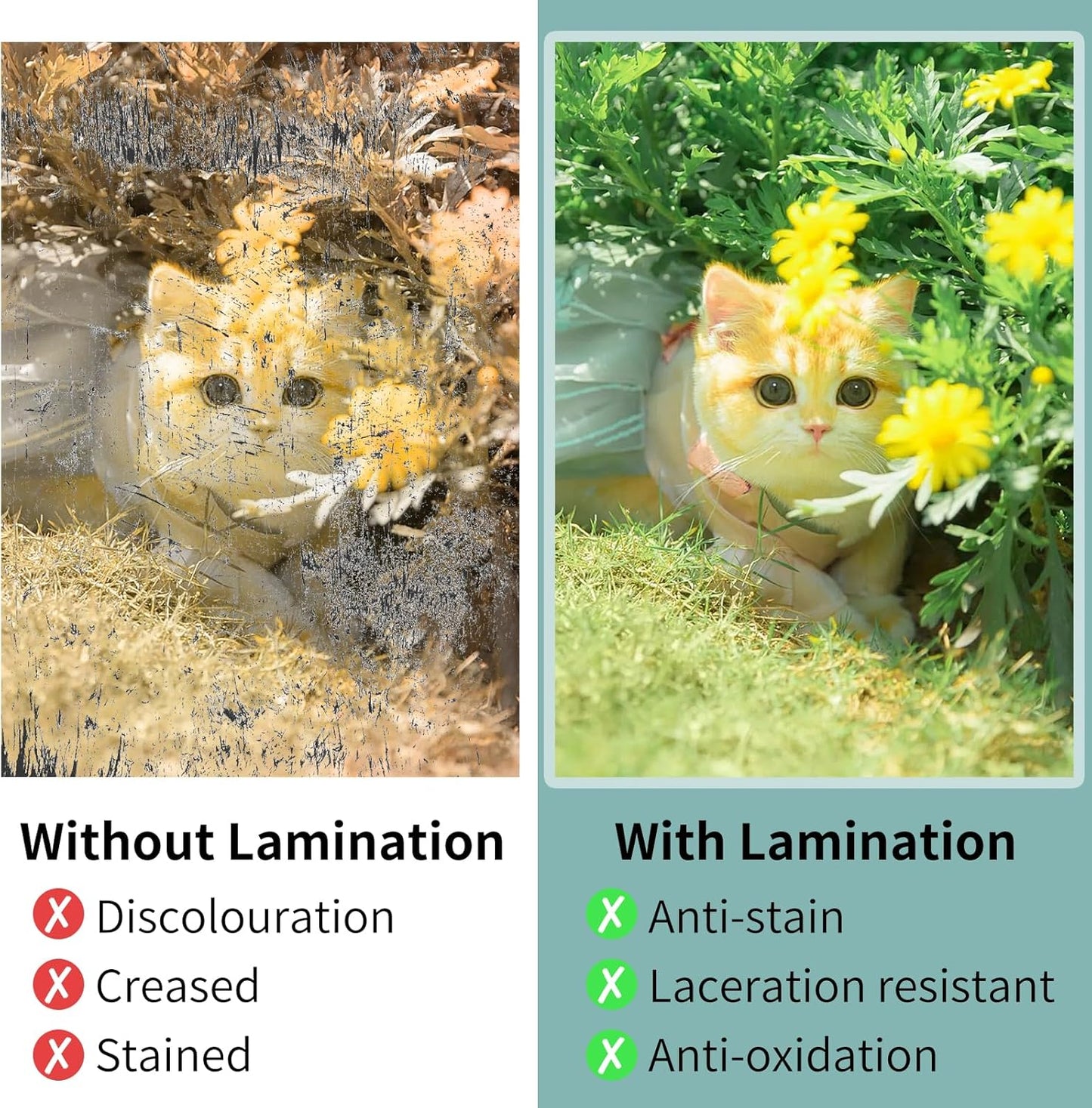 Laminating Sheets - 5Mil Thermal Laminating Pouches, 9"x11.5" Clear Laminate Sheets for Schedules, Menus, Certificates, Art Drawings, Round Corner, 1500 Pack