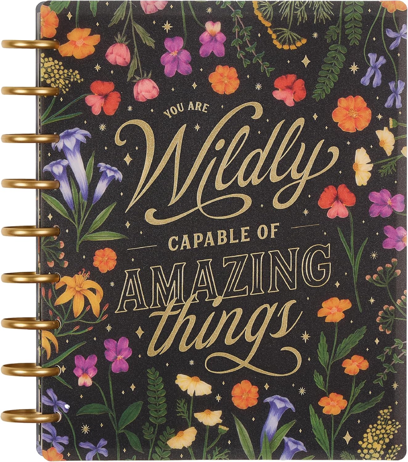 Happy Planner Disc-Bound Planner Jan.–Dec. 2026, Includes 3 Extra Months and 2 Sticker Sheets, Classic Size, 7" x 9.25", Dashboard Layout, Grounded Magic